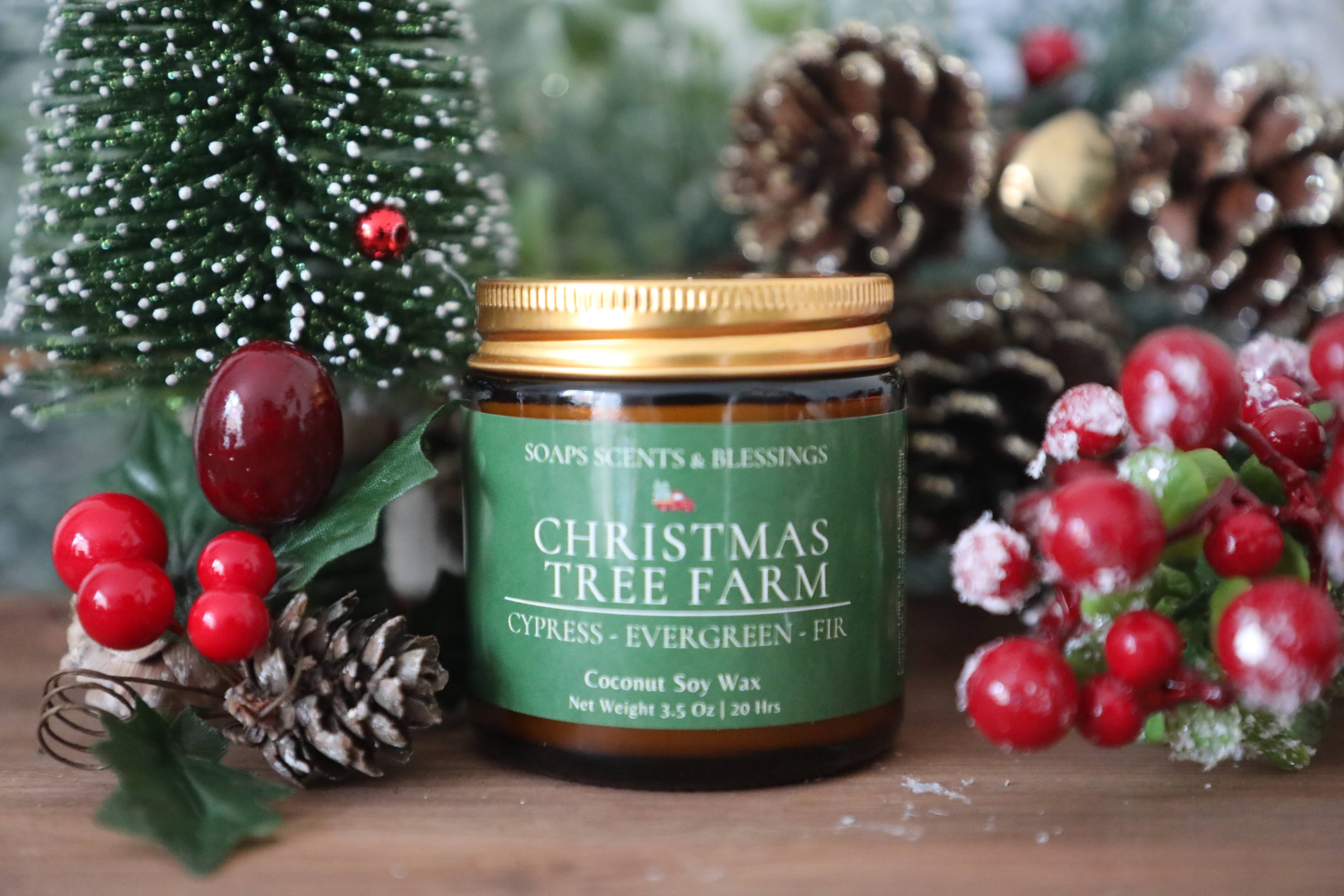 Candeo Candle Christmas Tree Farm - Candela In Barattolo 400ml - Cera D'Api, Cocco E Soia - Fatta A Mano USA