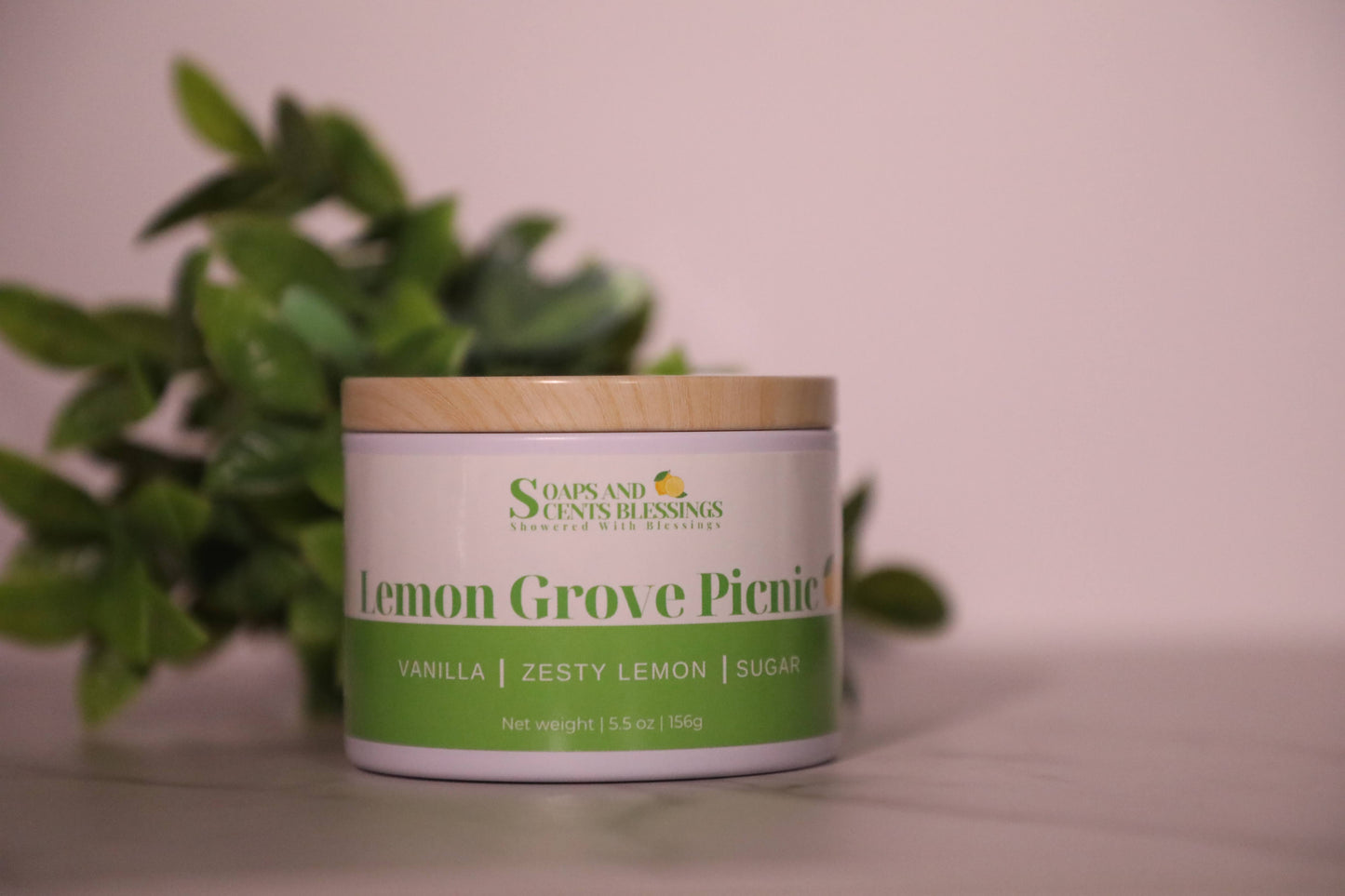 Lemon Grove Picnic